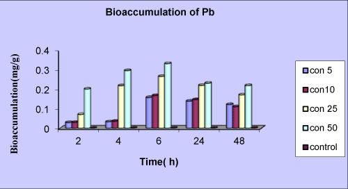 Bioaccumulation