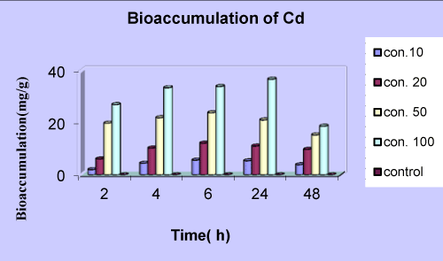 Bioaccumulation