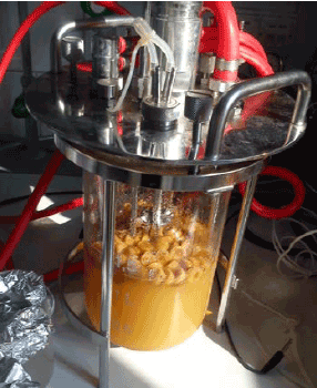 bioreactor
