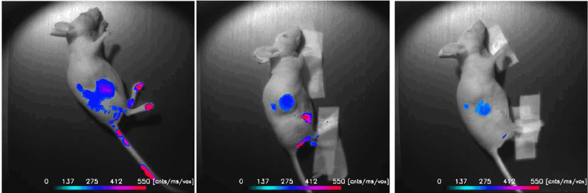 Imaging