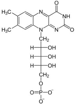 molecule
