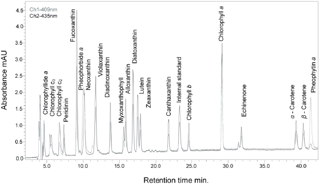 chromatogram