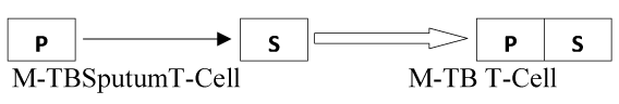 representation