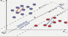 Classification
