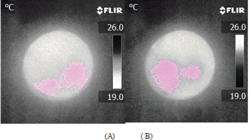 thermographic
