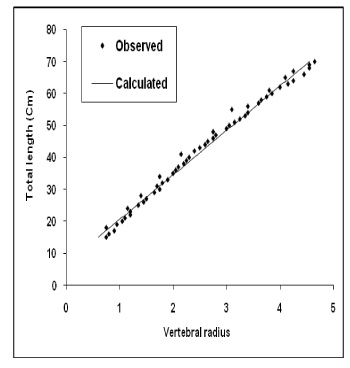 vertebral
