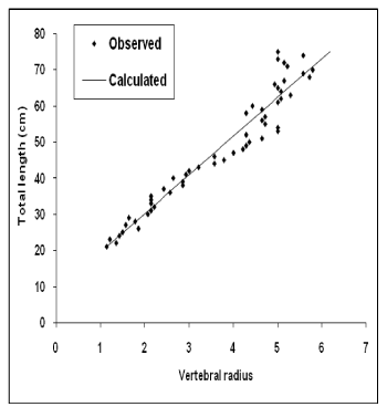 vertebral