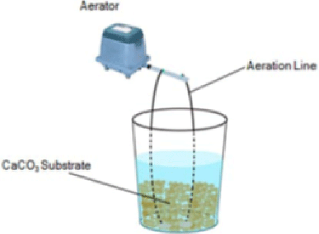 bioreactor