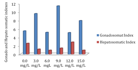 hepatosomatic
