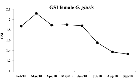 Gonadosomatic