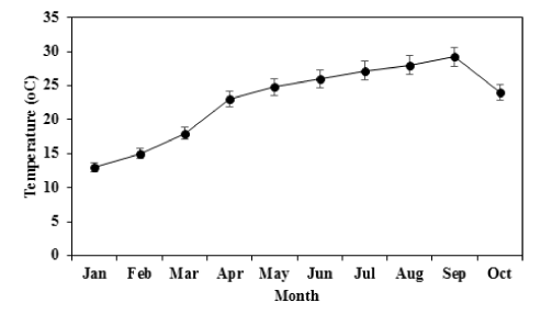 Monthly