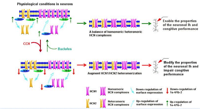 mechanistic