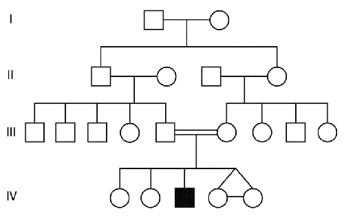 consanguineous