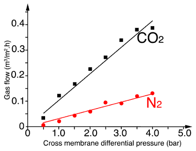 membrane