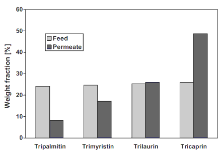 triglyceride