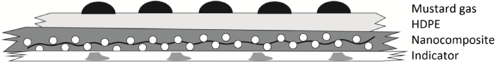 membrane
