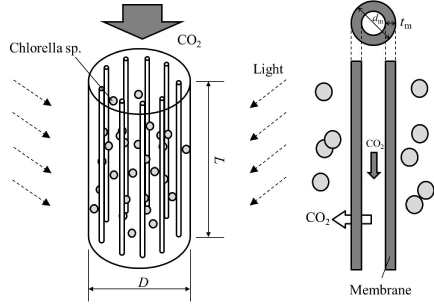 Photobioreactor