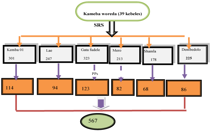 presentation