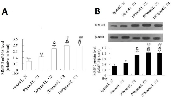 mRNA