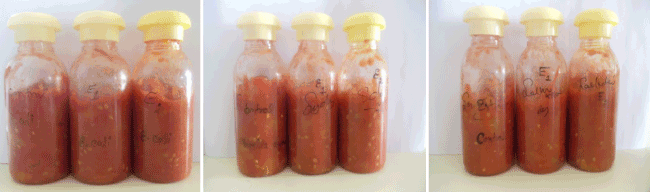 bottles