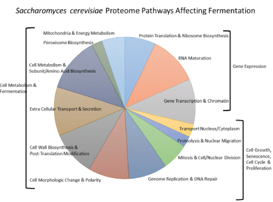 Proteome