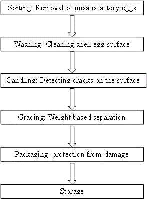 processing