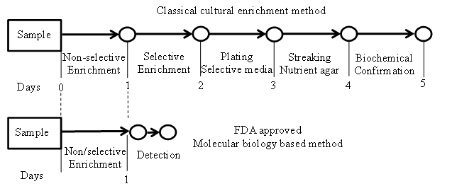 detection