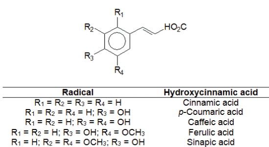 hydroxycinnamic
