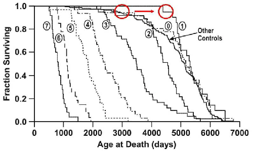 longevity