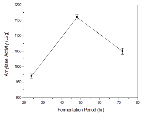 fermentation