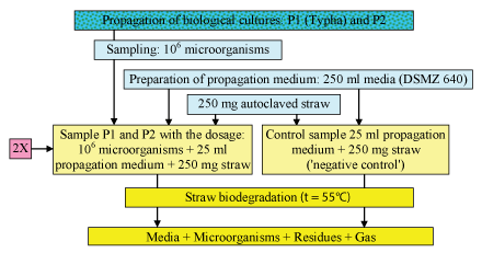 Propagation