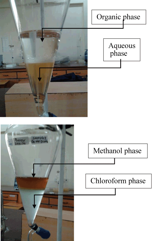 Solvent