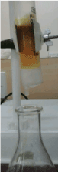 Column