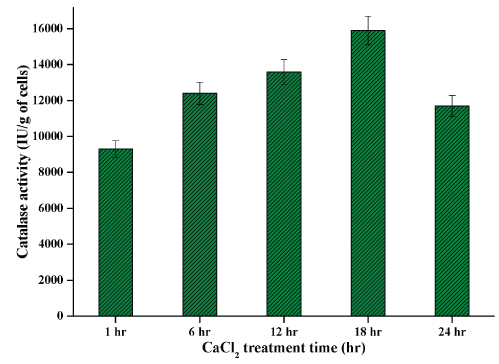 catalase activity