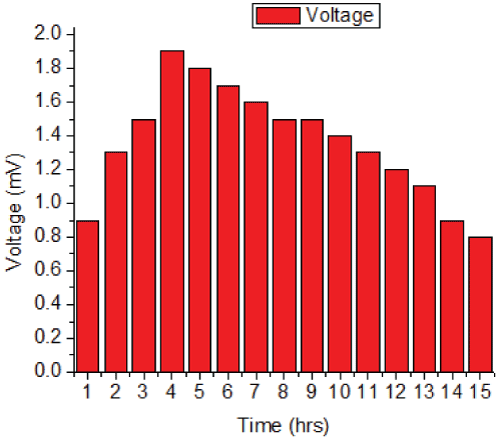  Voltage