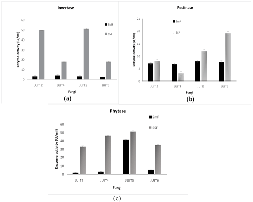 invertase