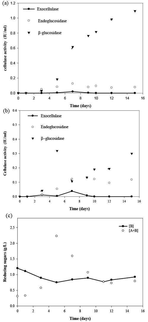 Cellulase