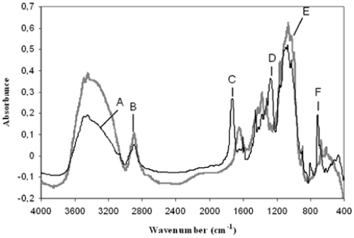 benzoylated