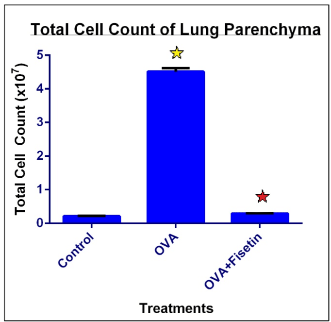 lung