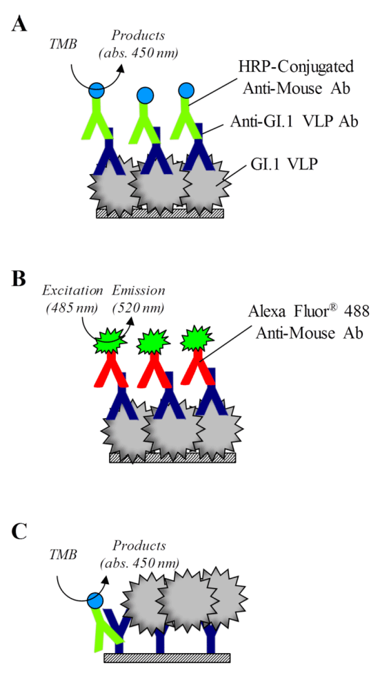 Figure 1 | illustrating the binding..