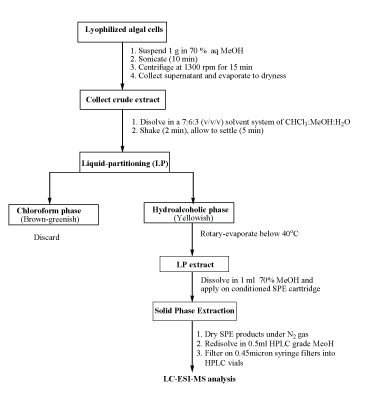 procedure