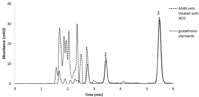 Chromatograms