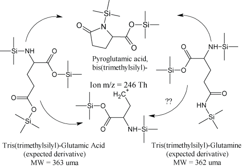 Pyroglutamic