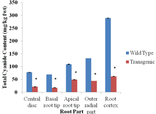 Distribution