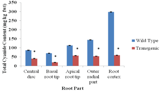 Distribution