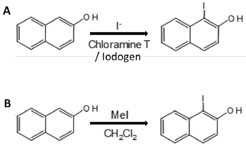 Syntheses