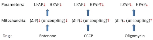 inhibitory