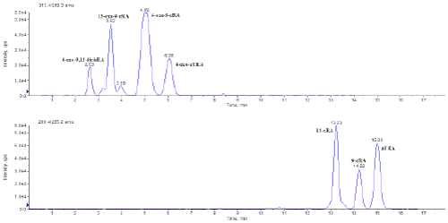 chromatograms