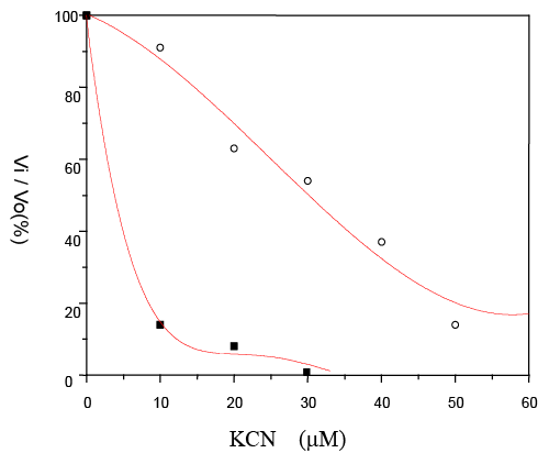 lower