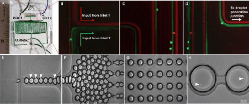 Microfluidic